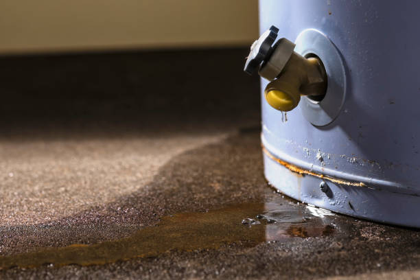 Best Ceiling water damage repair  in Northfield, NJ