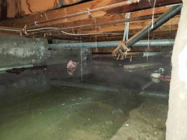 Best Flooded house restoration  in Northfield, NJ