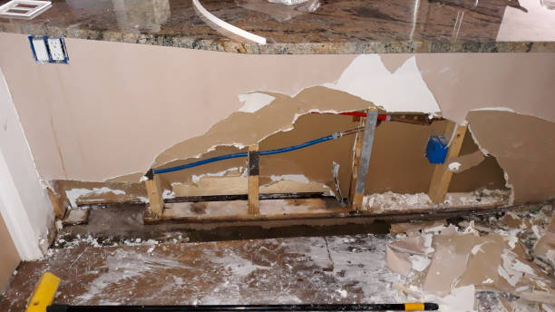 Best Water damage cleanup near me  in Northfield, NJ