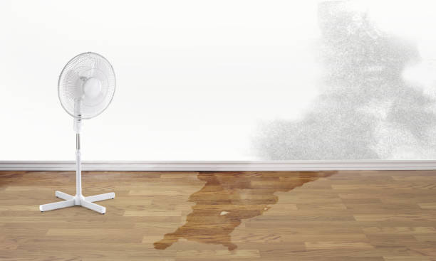 Best Flood restoration services  in Northfield, NJ
