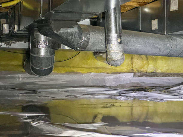 Best Water damage repair service  in Northfield, NJ