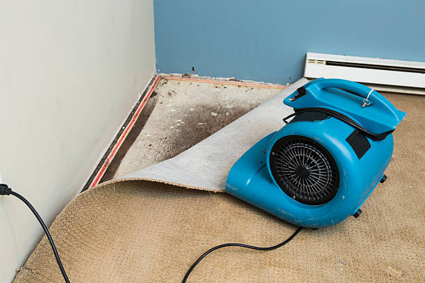 Best Emergency water damage restoration  in Northfield, NJ